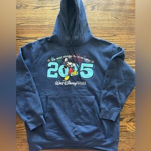 Disney 2025 adult size large hoodie